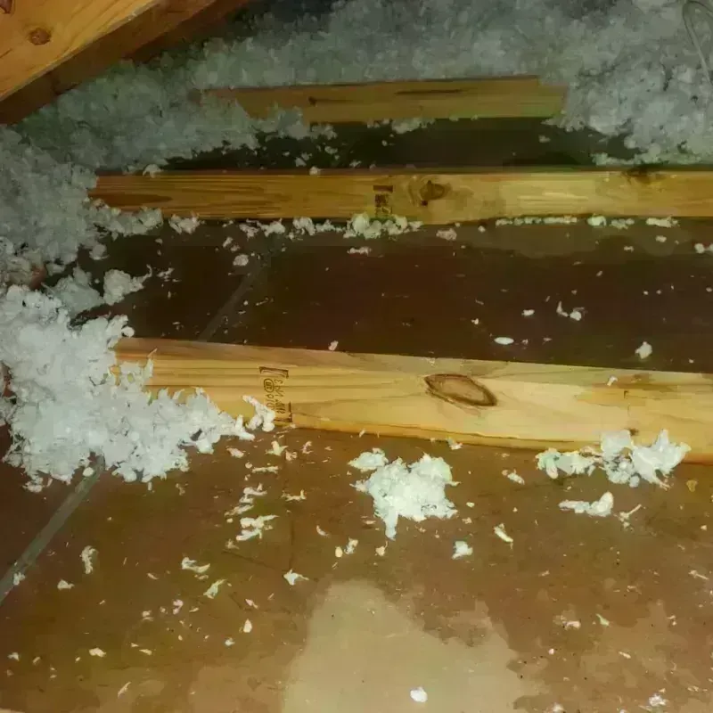 Attic Water Damage in Aurora, MO