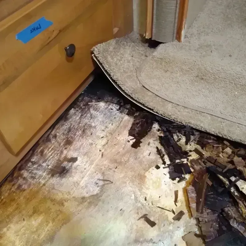 Wood Floor Water Damage in Aurora, MO